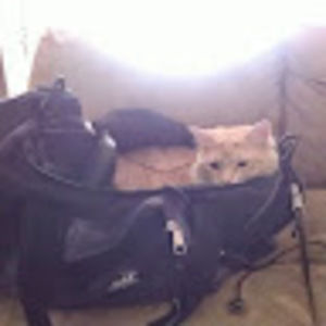 Meet your Posher, Kevin